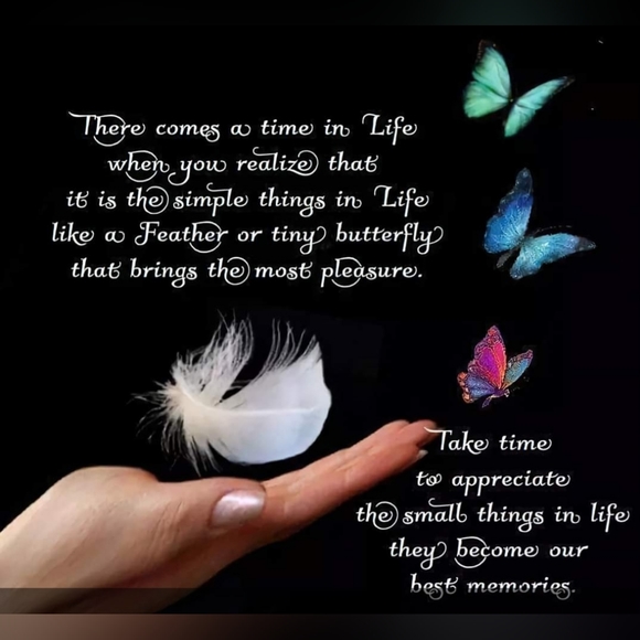 Closet Clearout - Monday Live Show - Picture 7 of 15